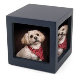 <b> Navy blue photo cube </b><br><em>For pets up to 85 pounds <br>Price: $150</em>