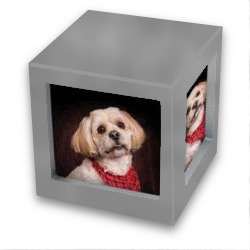 <b>Silver photo cube</b><br><em>For pets up to 85 pounds<br>Price: $150</em>