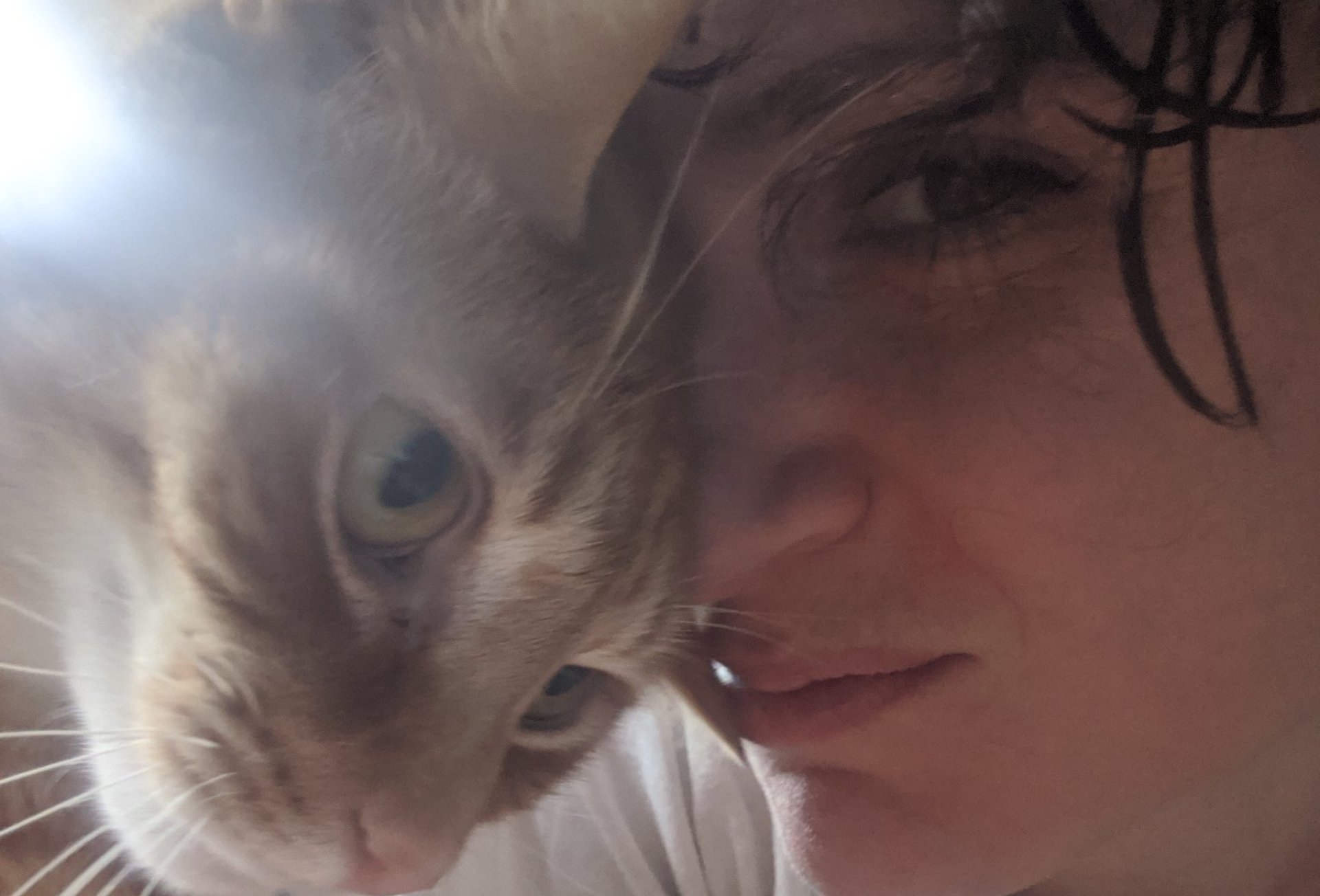 Chester