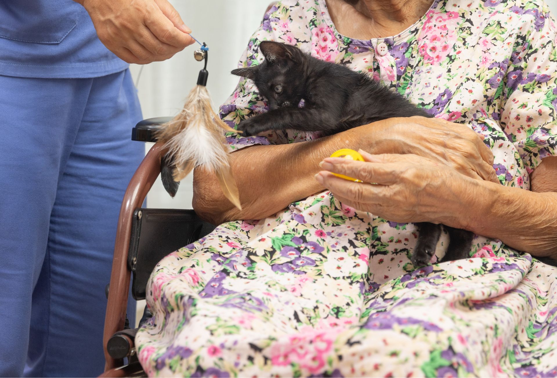 pet charity
