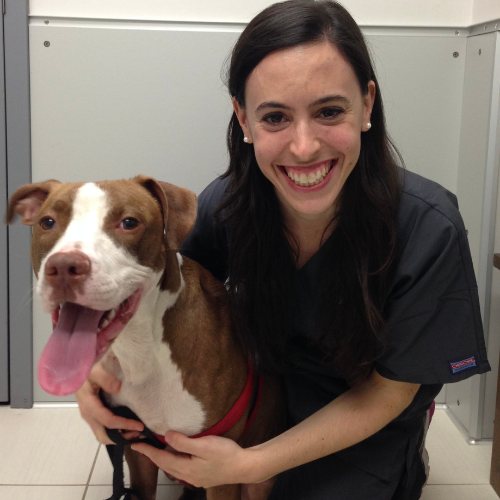 Dr. Jenna Goldhaber paws at peace dr. jessica