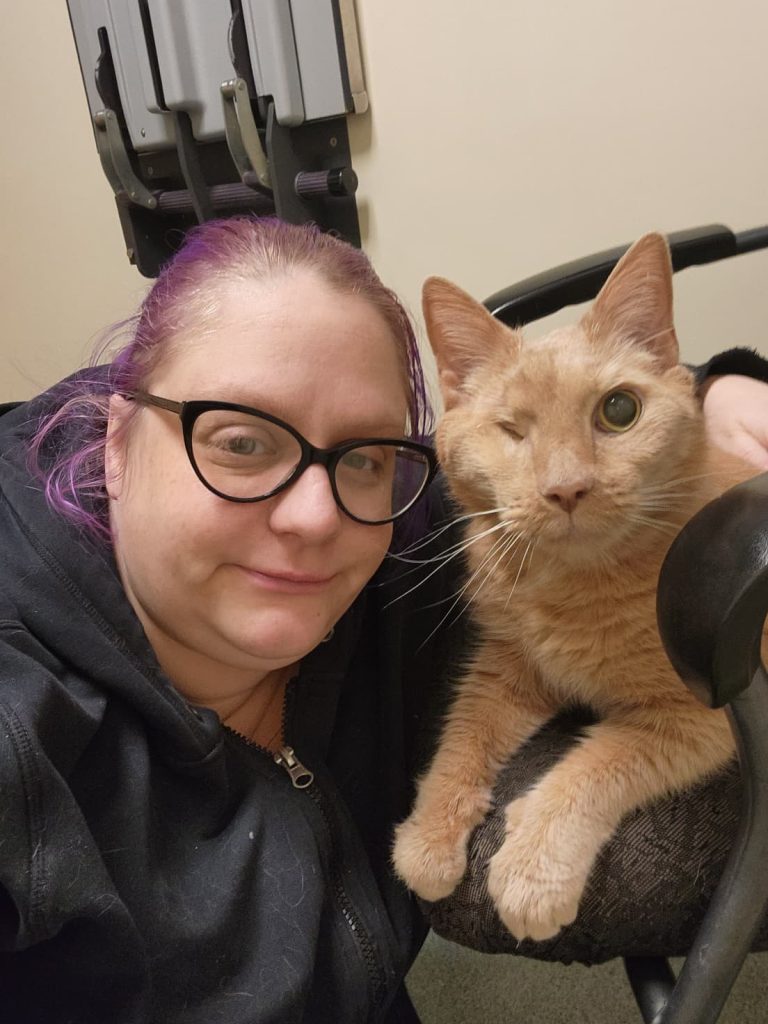 owner comforting cat during veterinary visit