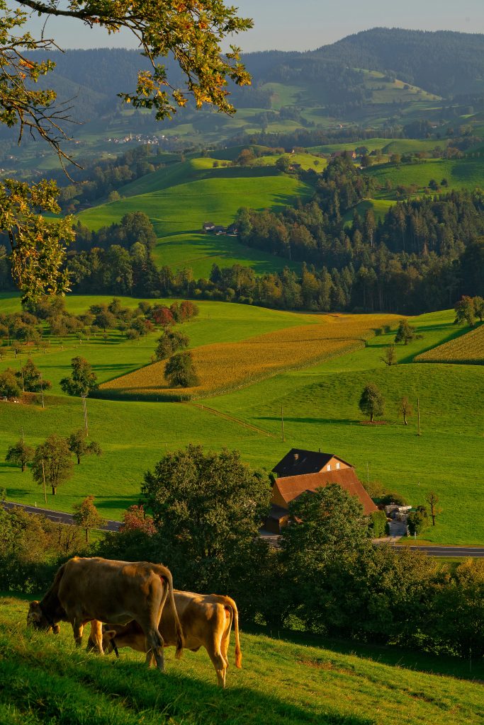 farm where communal ashes are scattered