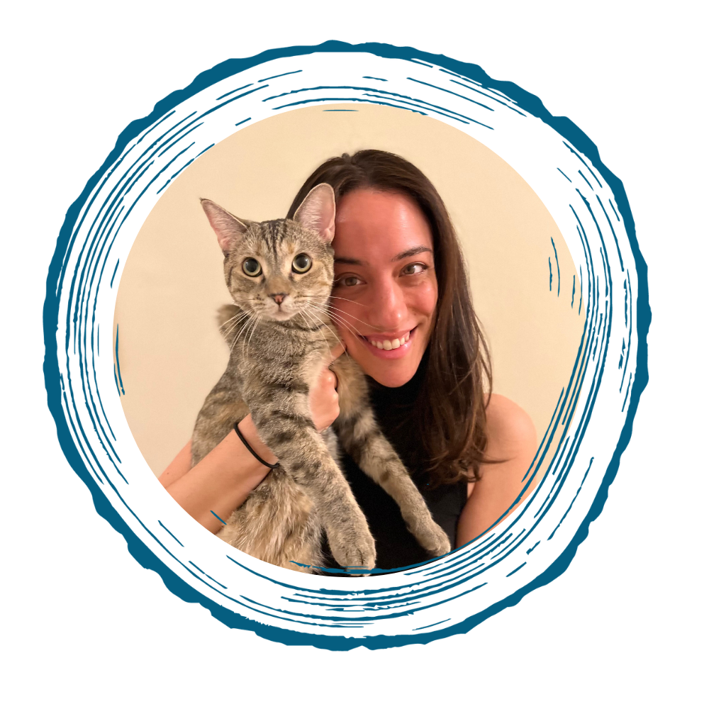 Christine Galotti-Noyes LCSW, VSW