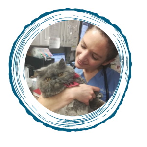Dr. Jessica Fragola veterinarian
