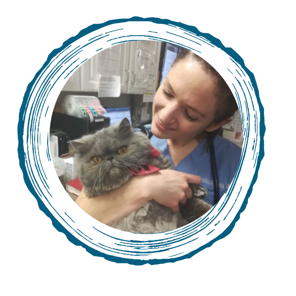 Dr. Jessica Fragola veterinarian