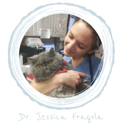 Dr. Jessica Fragola