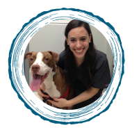 home euthanasia veterinarians in the bronx