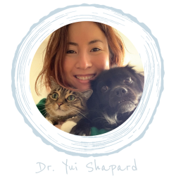 compassionate veterinarians